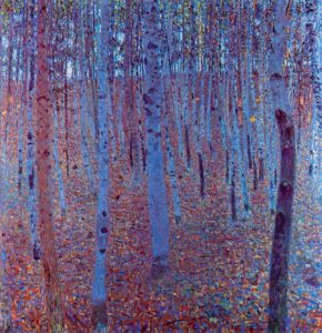 Beech Forest
