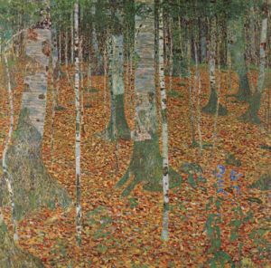 Birch Forest