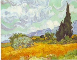 Cornfield with Cyprusses