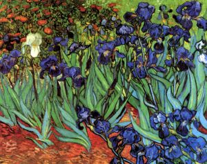 Irises