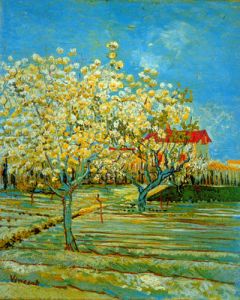 Orchard