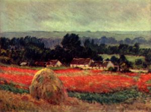 The poppy Blumenfeld (The barn)