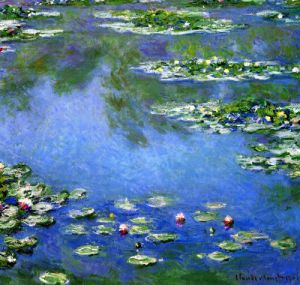 Water Lilies
