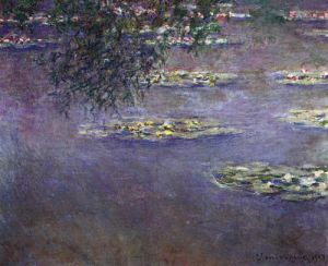 Water lilies, water landscape 1