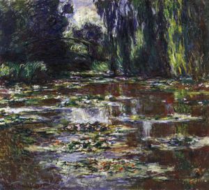 Water lilies, water landscape 3