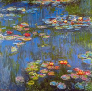 Waterlilies