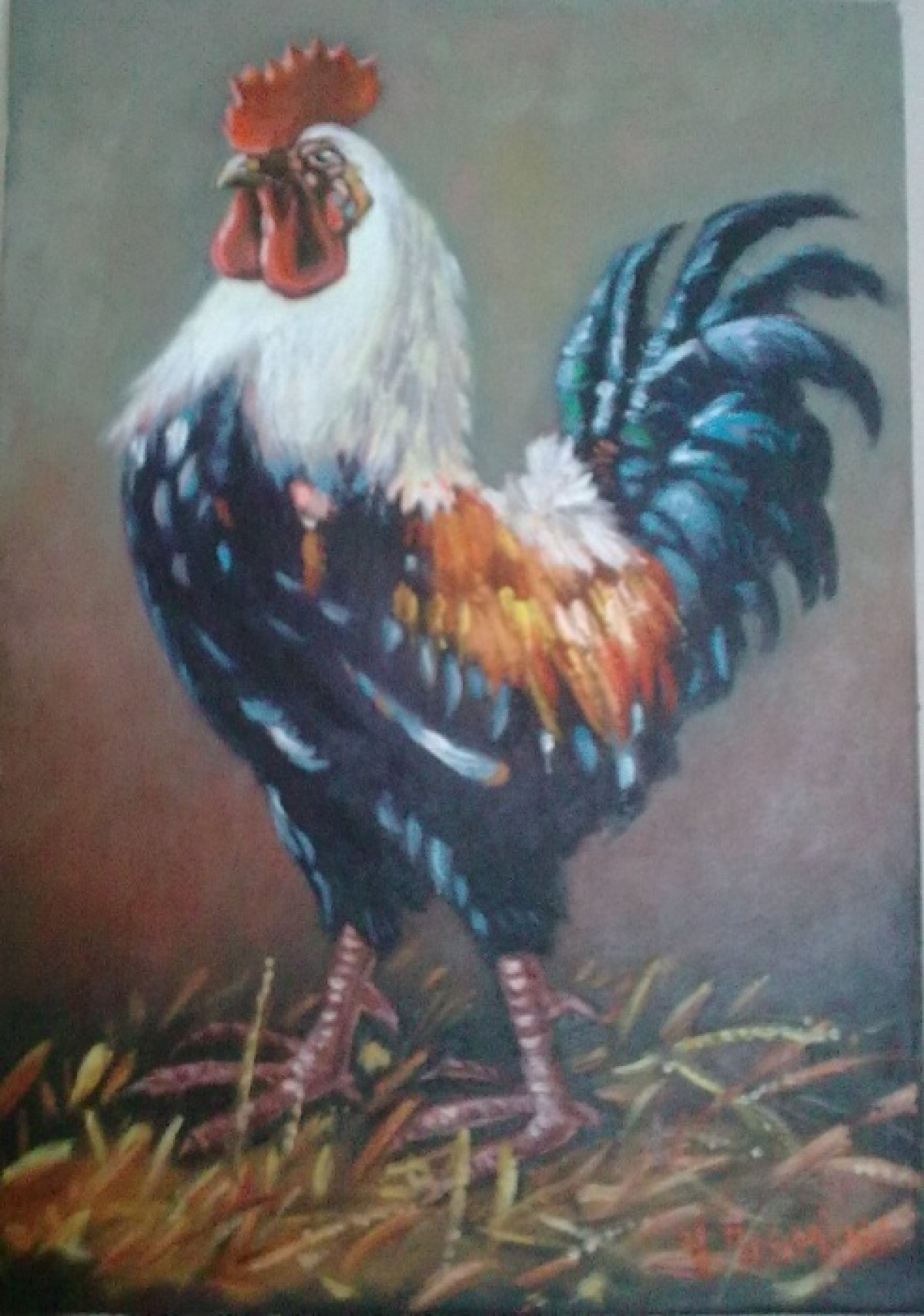 rooster