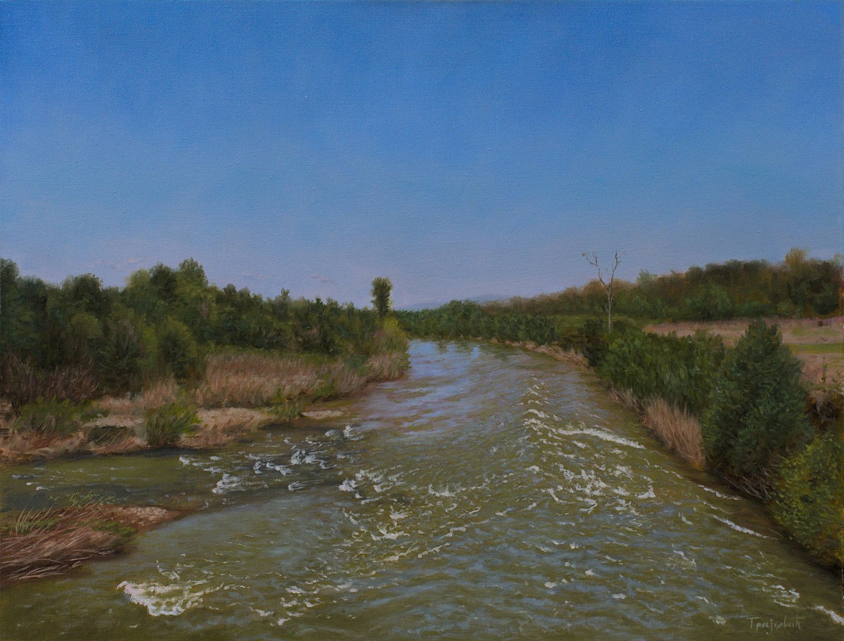 View from the Old Bridge in Spring