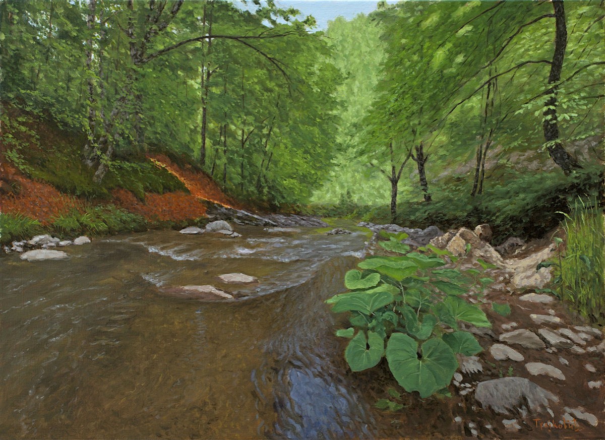 Landscape from Wolf River