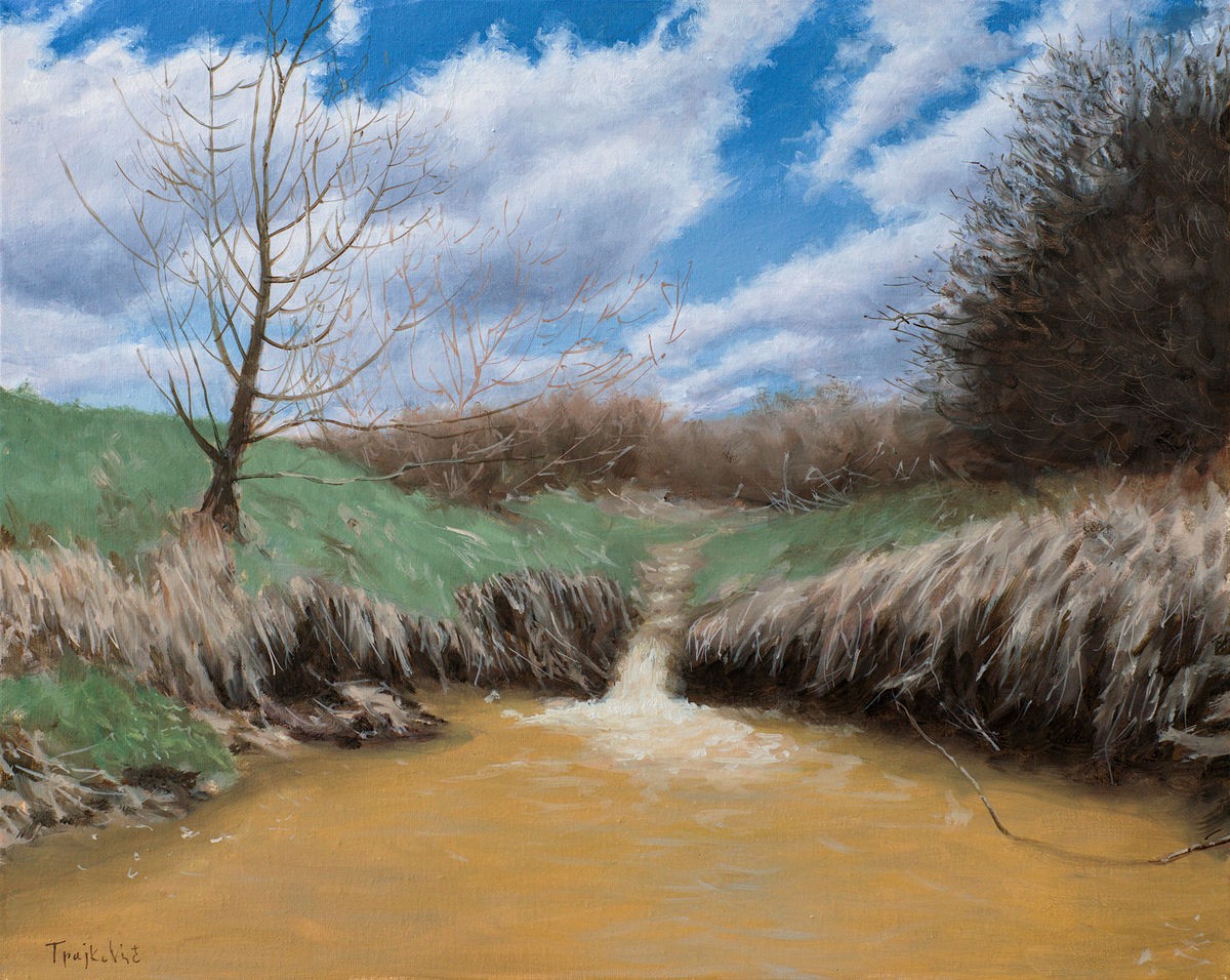 Stream in Early Spring,