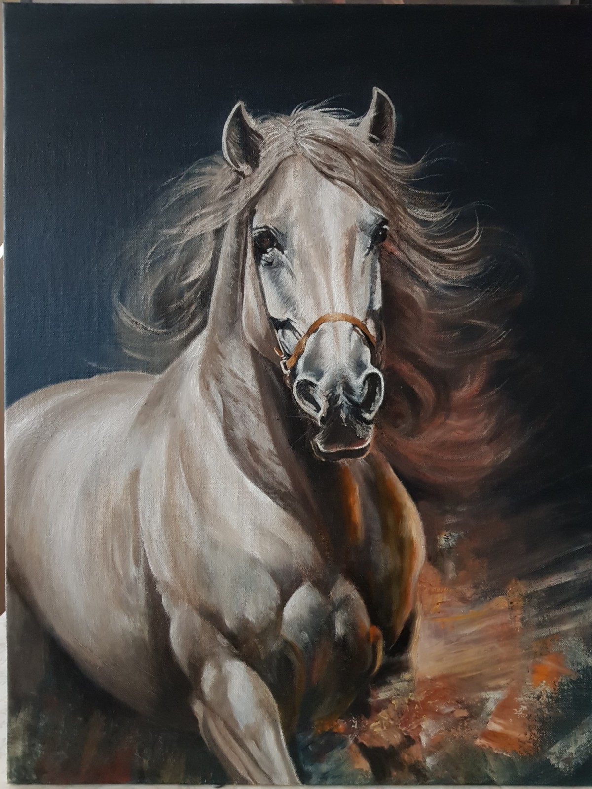 Horse XLI