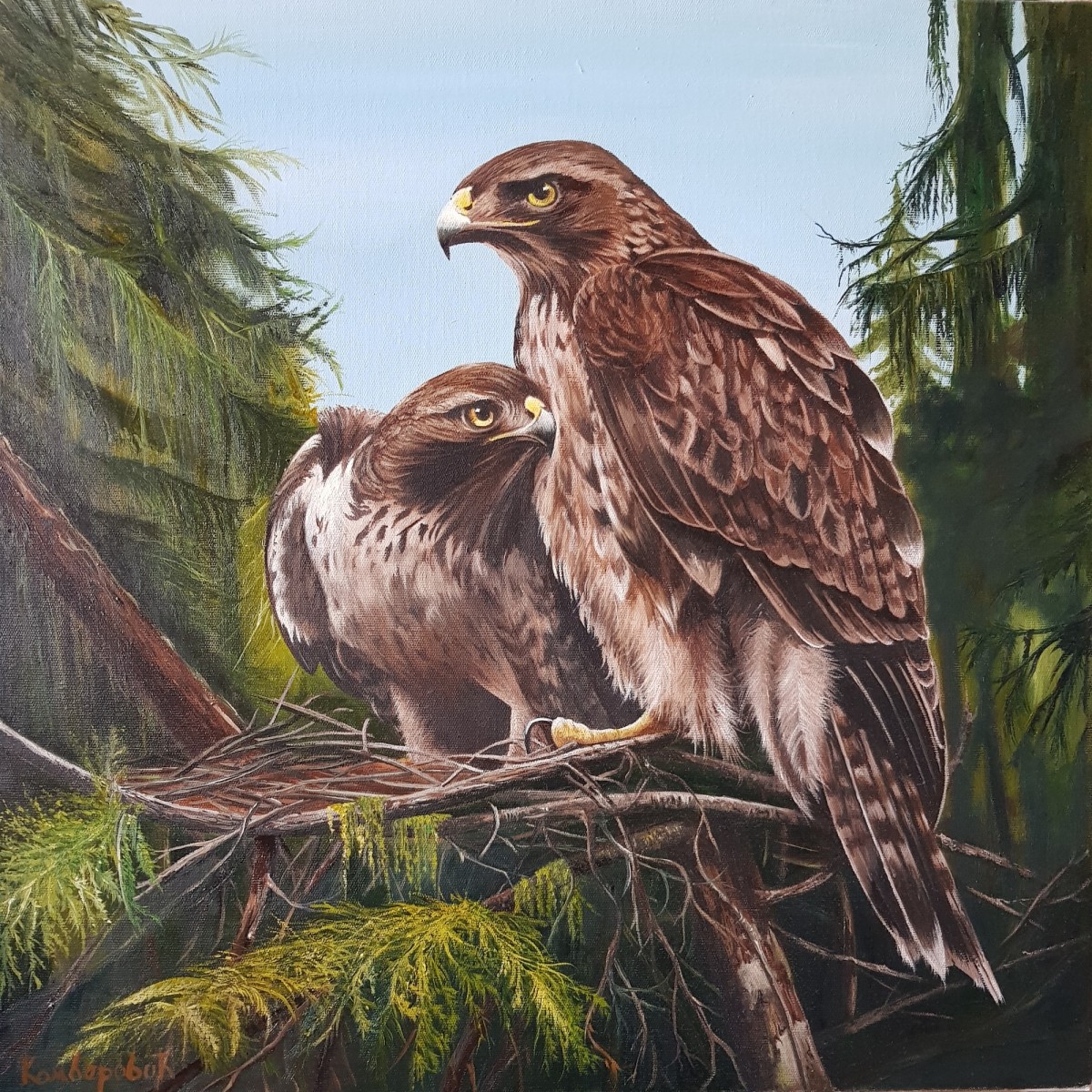 Hawks