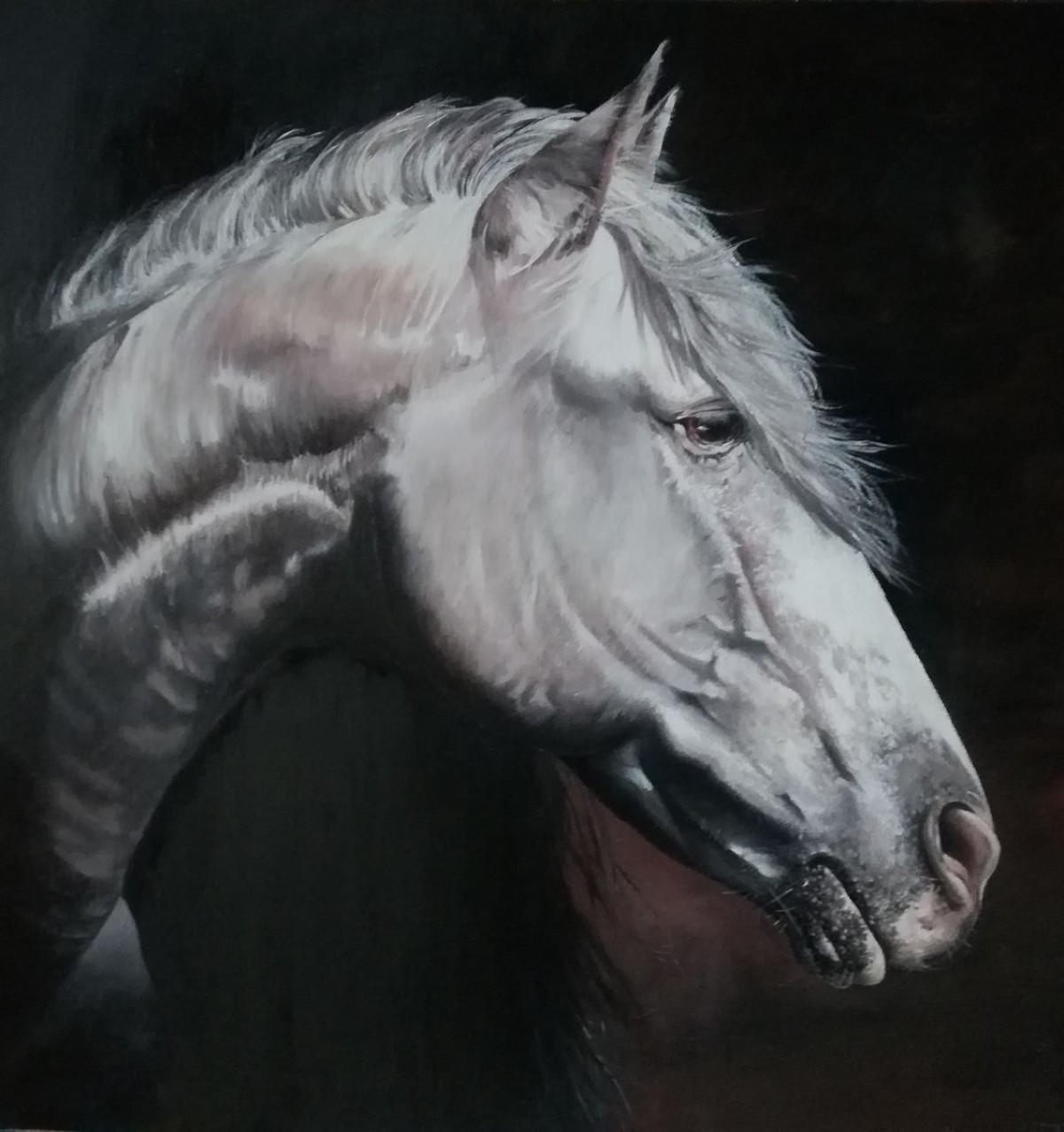 Horse XXII