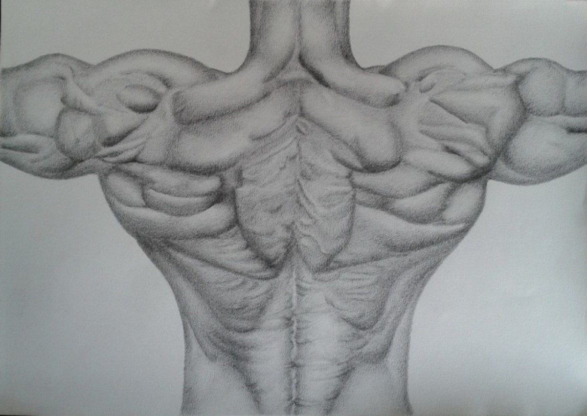Body