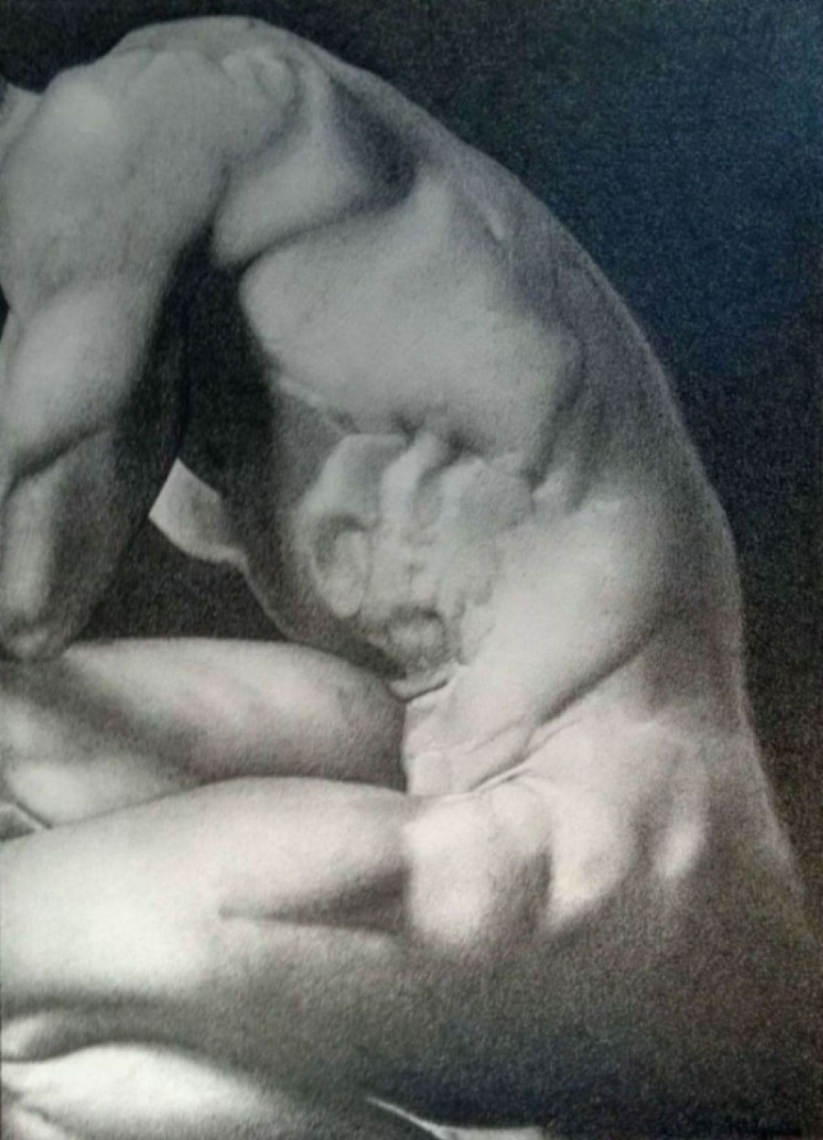 Male torso