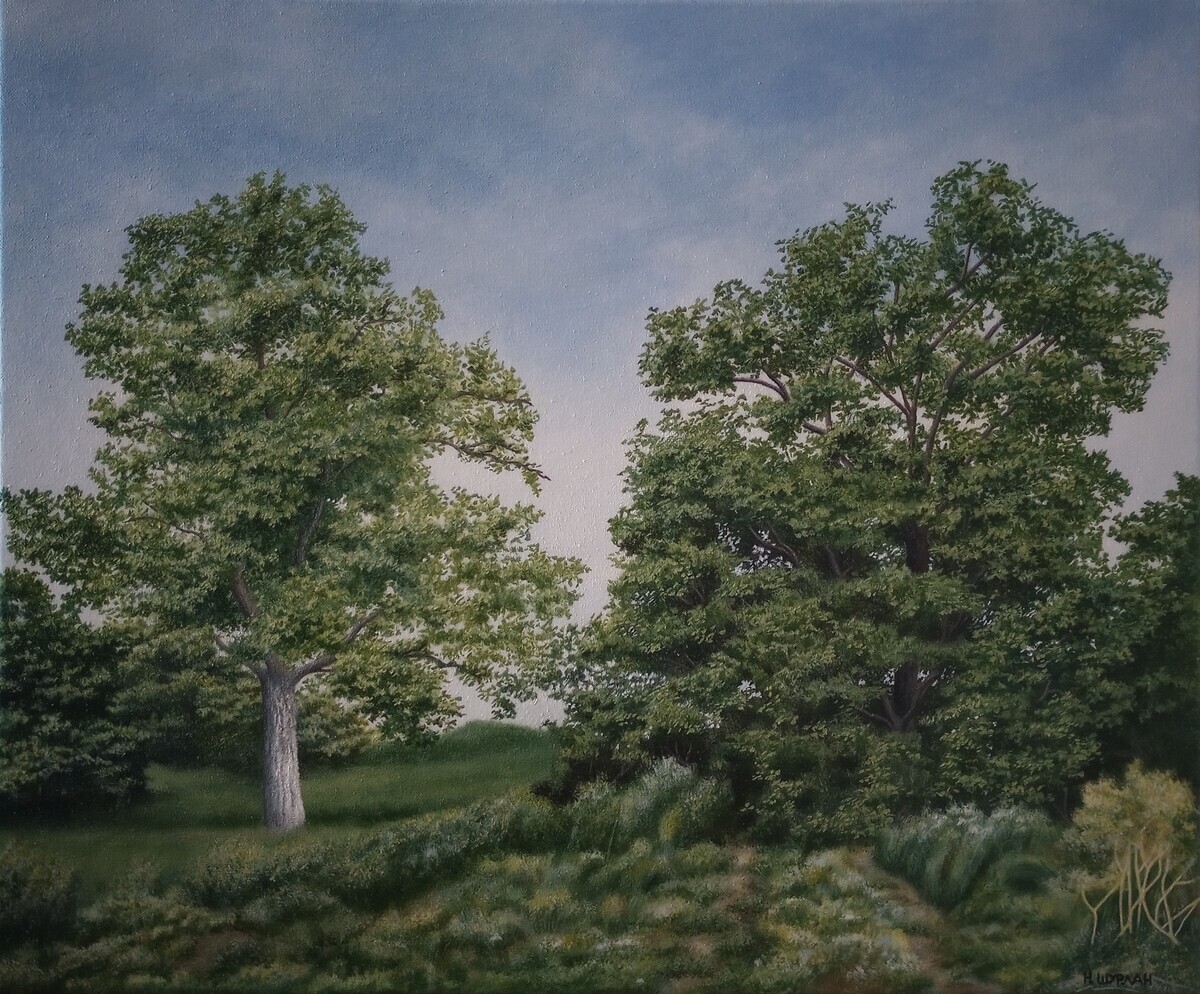 Summer landscape