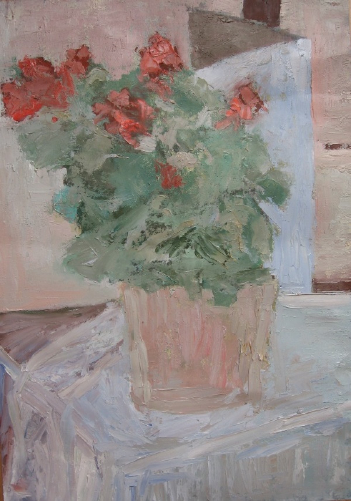 Begonia
