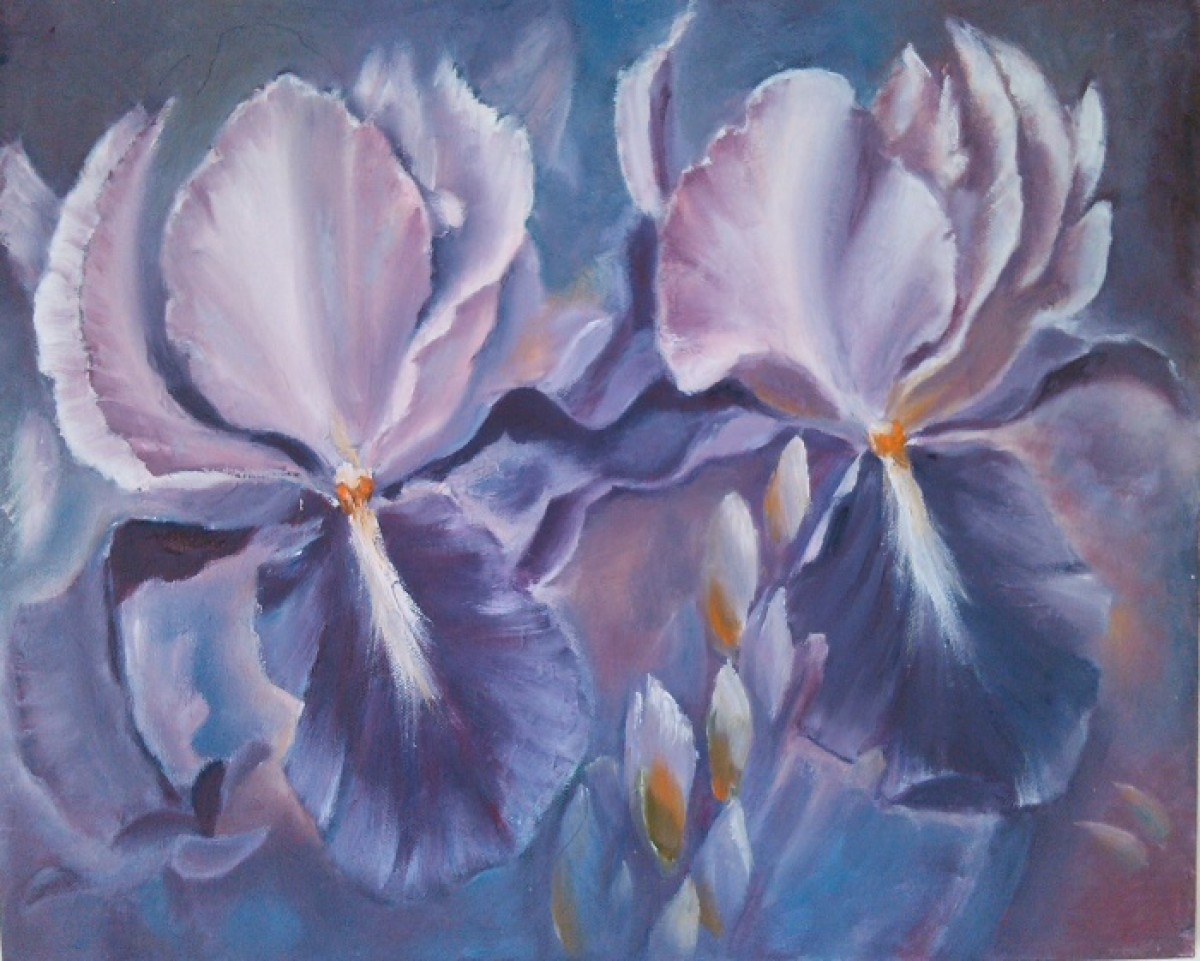 iris flower