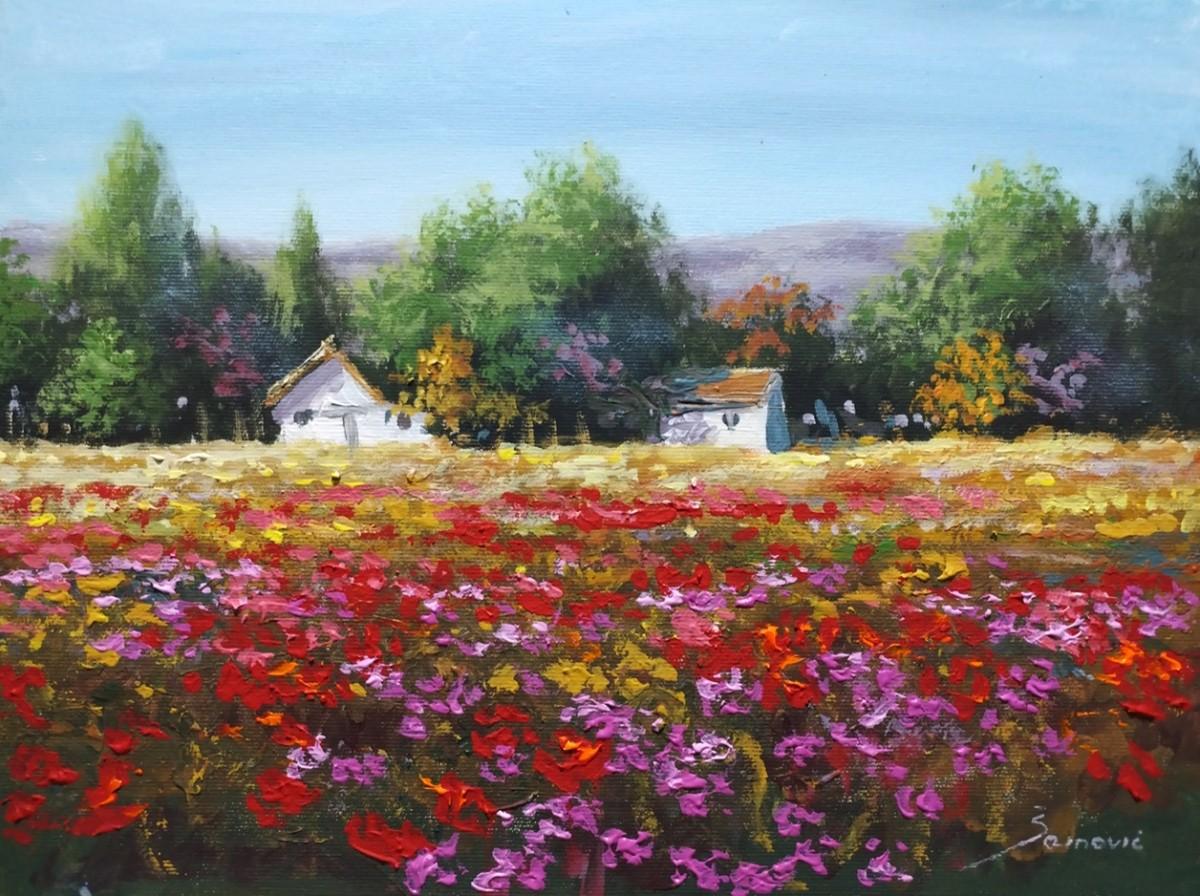 The flower field