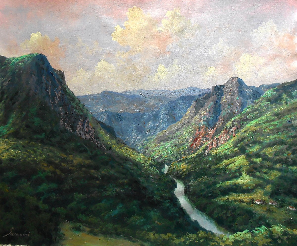 The Tara river