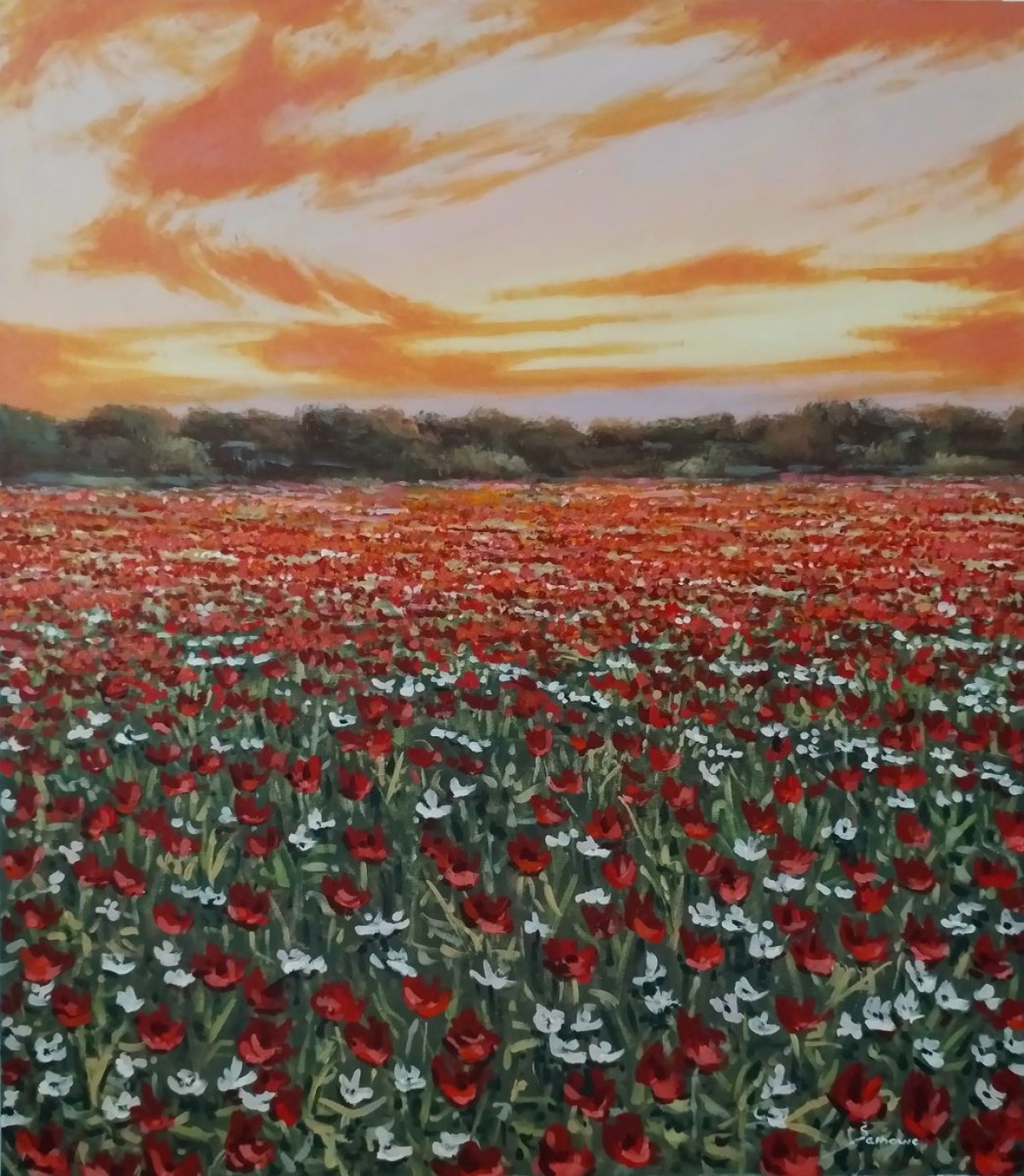 The poppy field