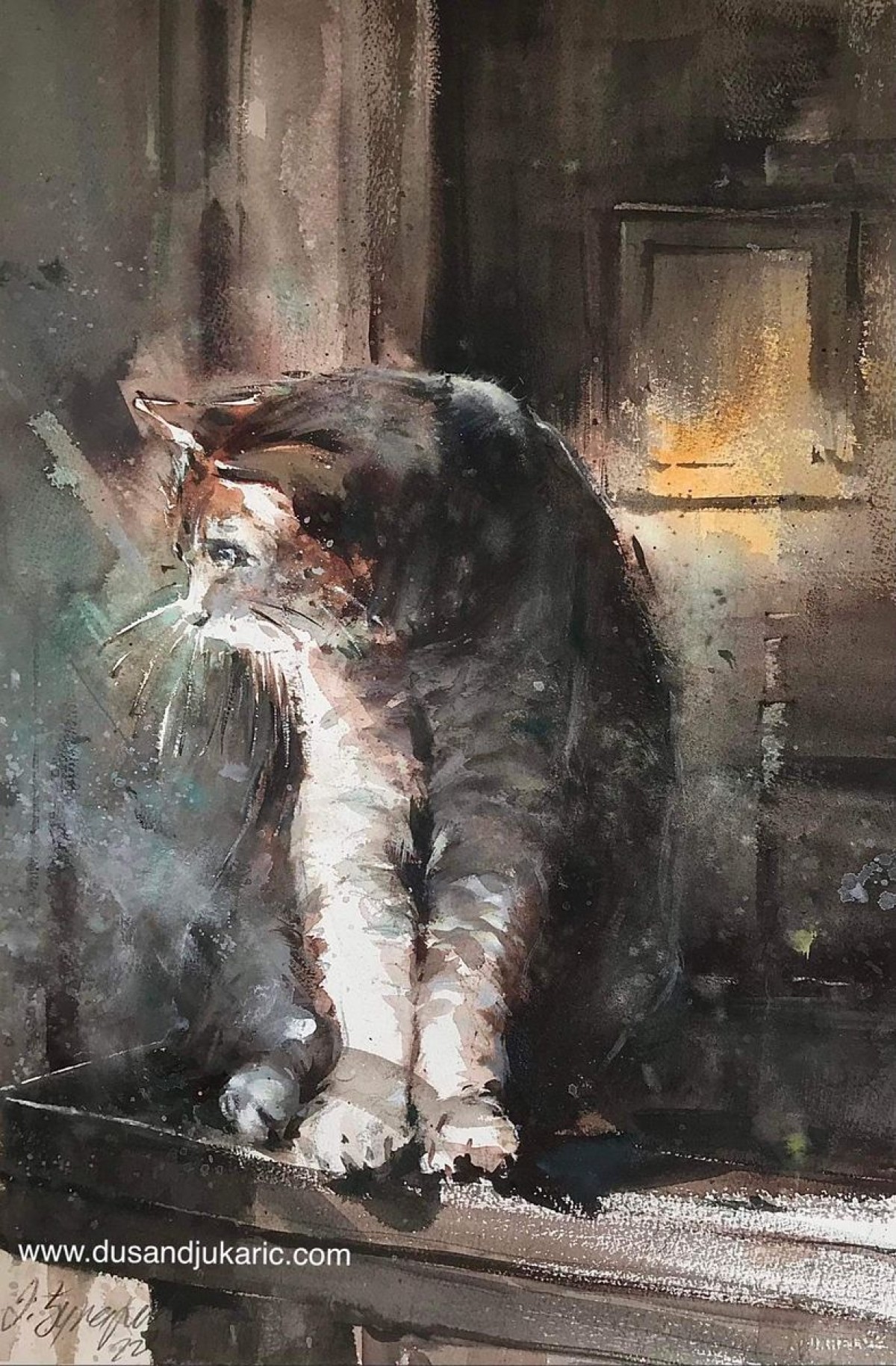 Good old cat
