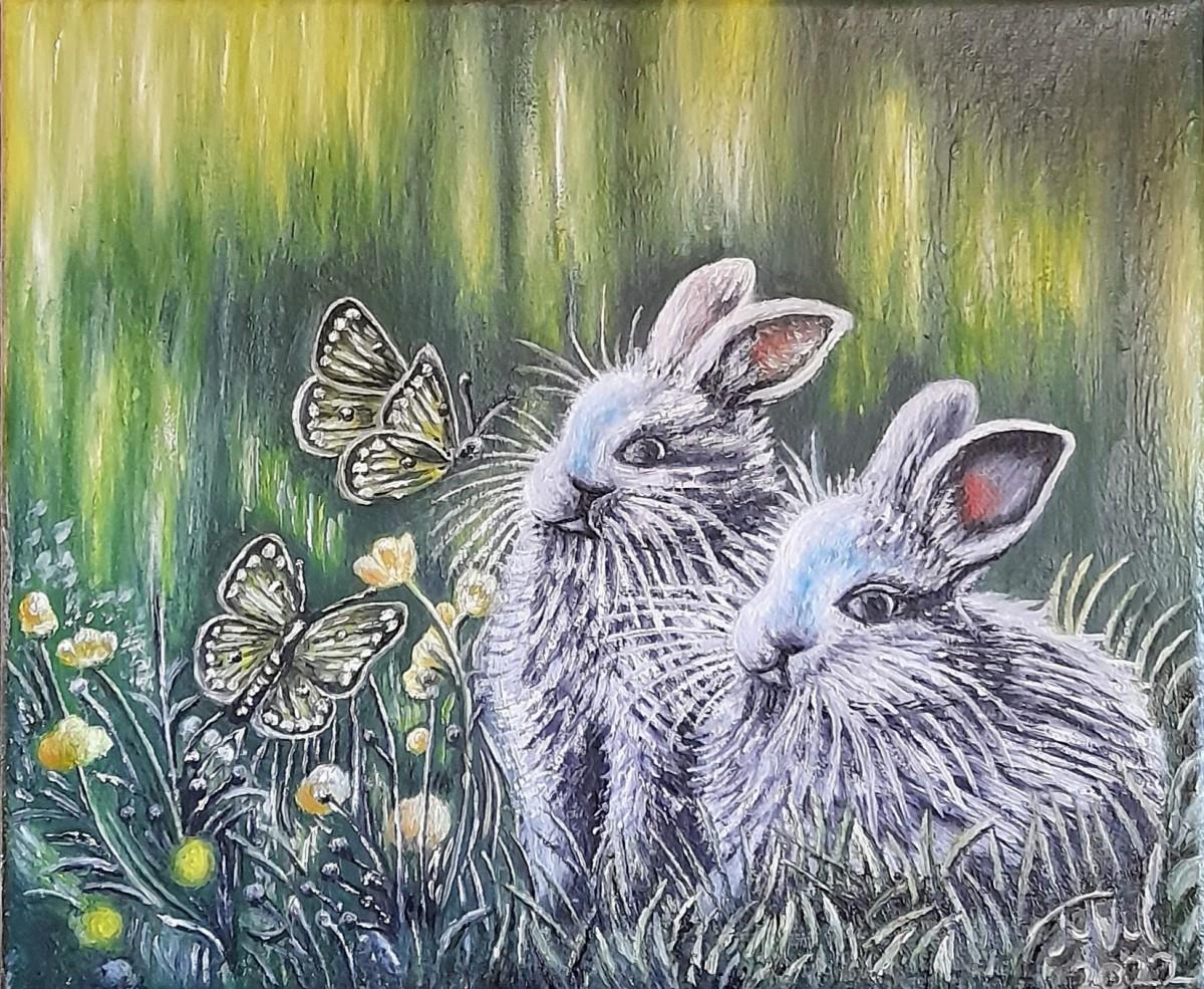 Bunnies and butterflies