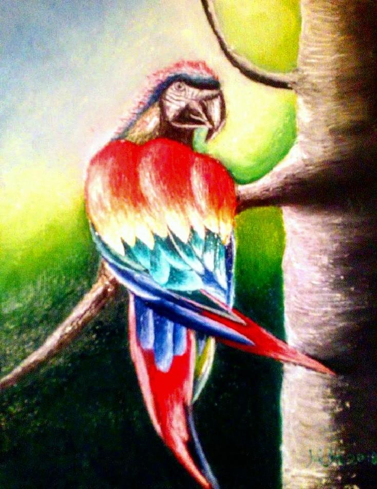 Rainbow parrot