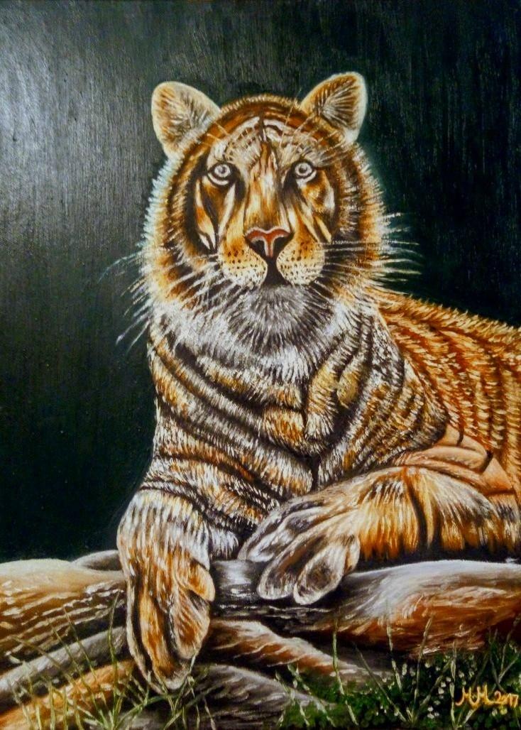 Tigers