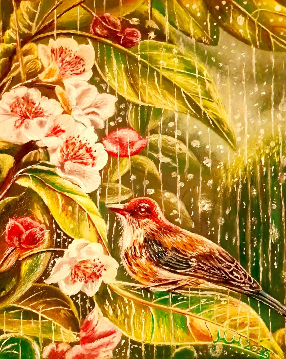 Sparrow  in  the  Rain