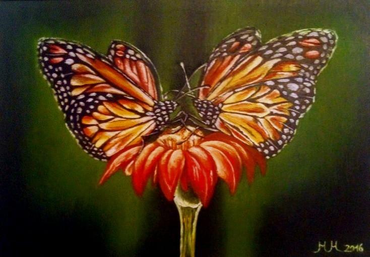 Love butterfly