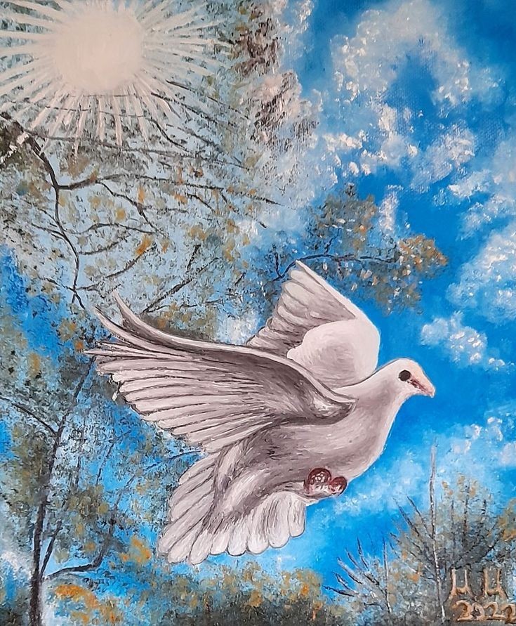 White pigeon
