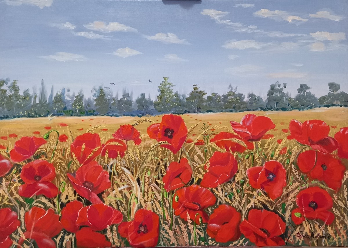 Poppies