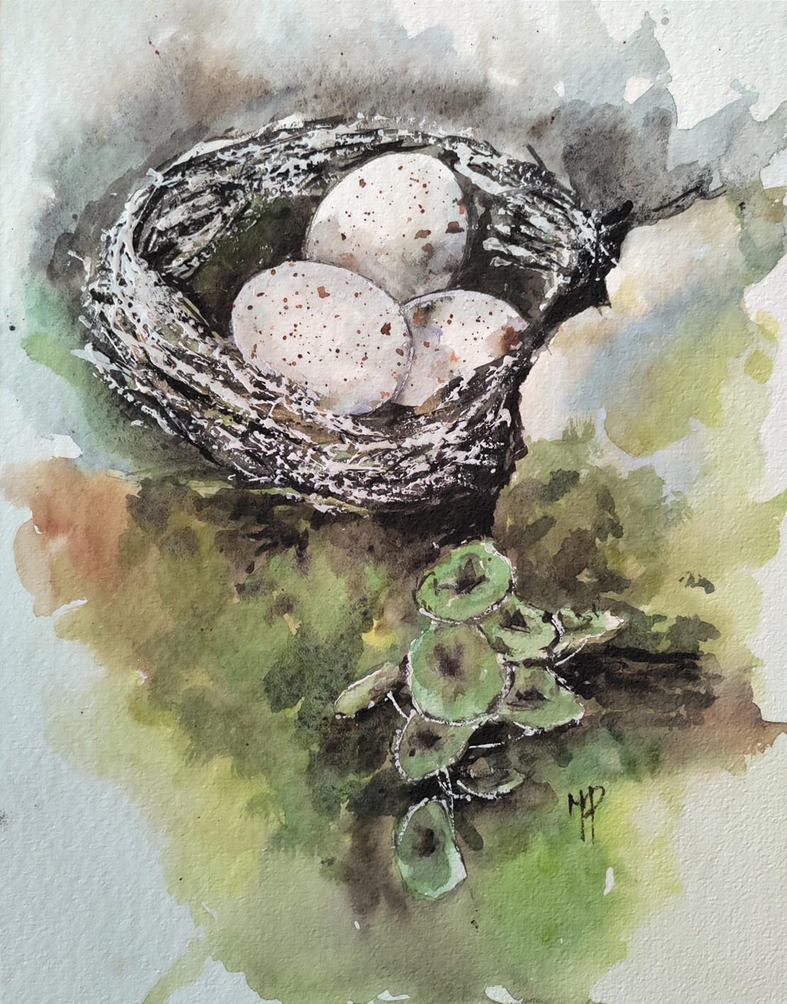 Nest