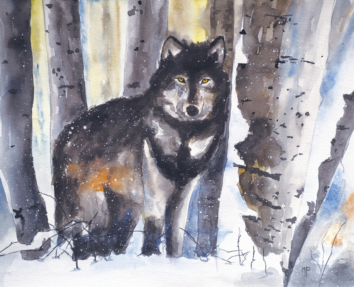 Lone wolf