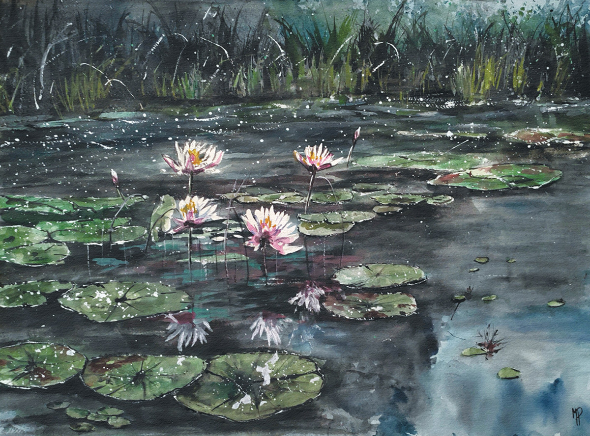 lotuses