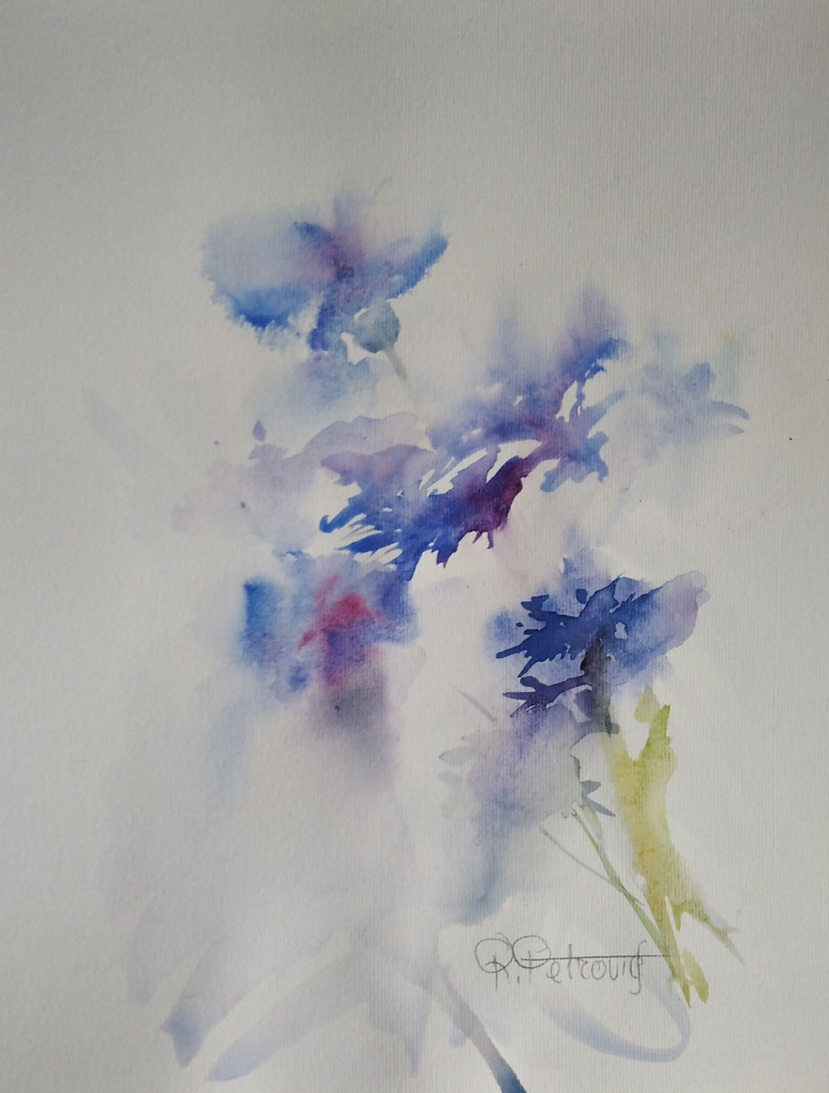 Flowers 20
