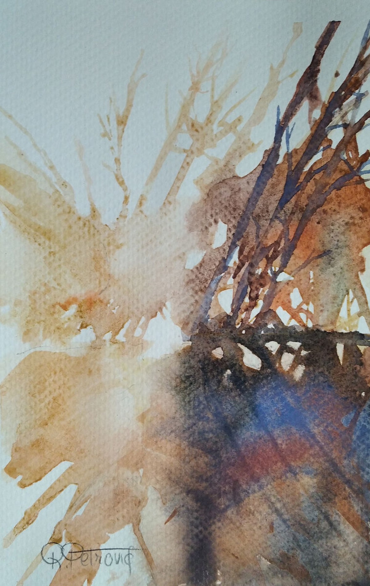 Landscape 11