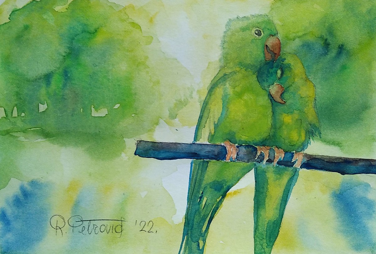 Parrots