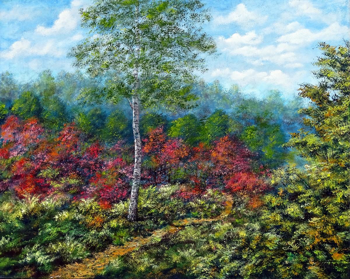 Birch