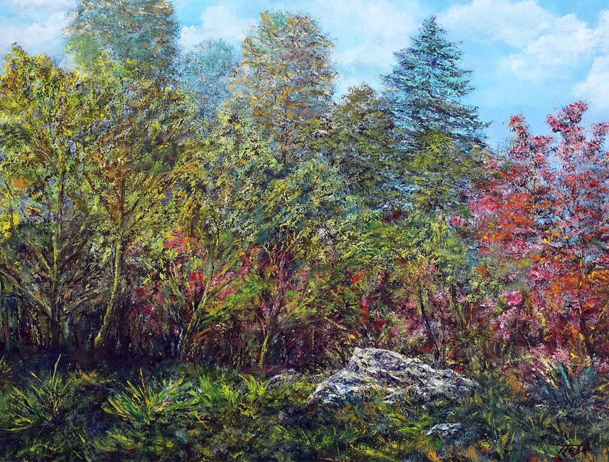Stone in the forest