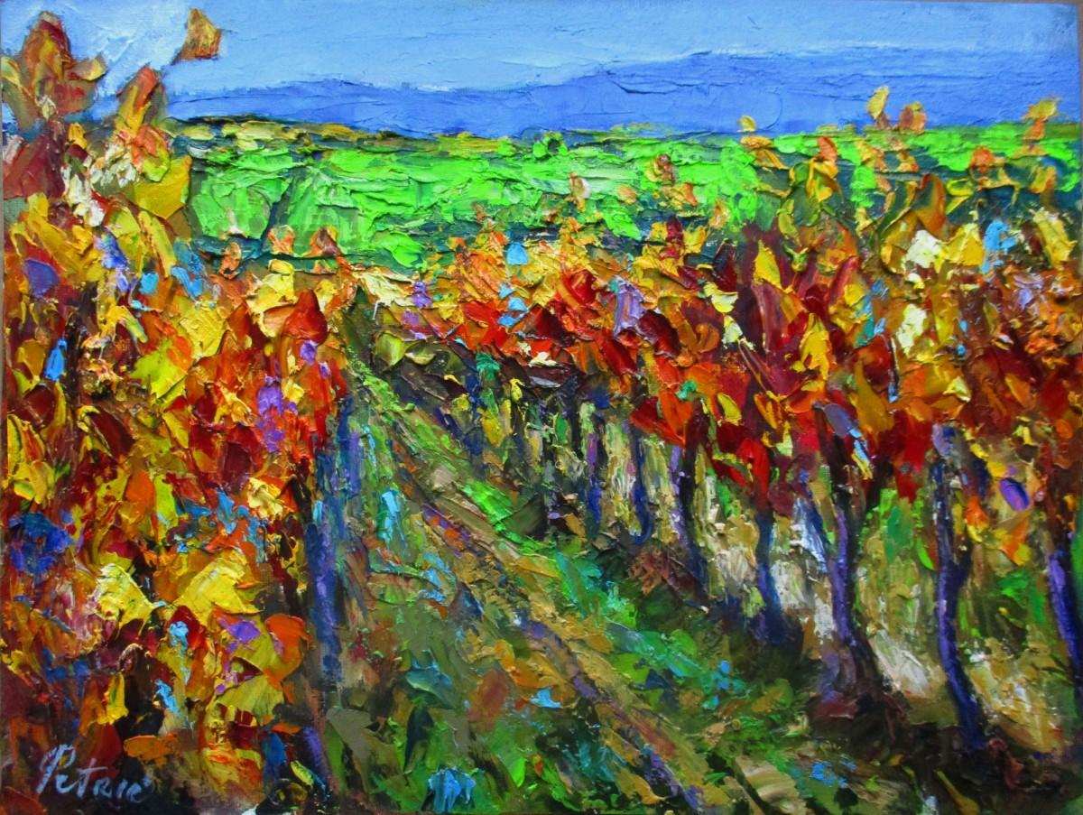 Vineyard in autumn