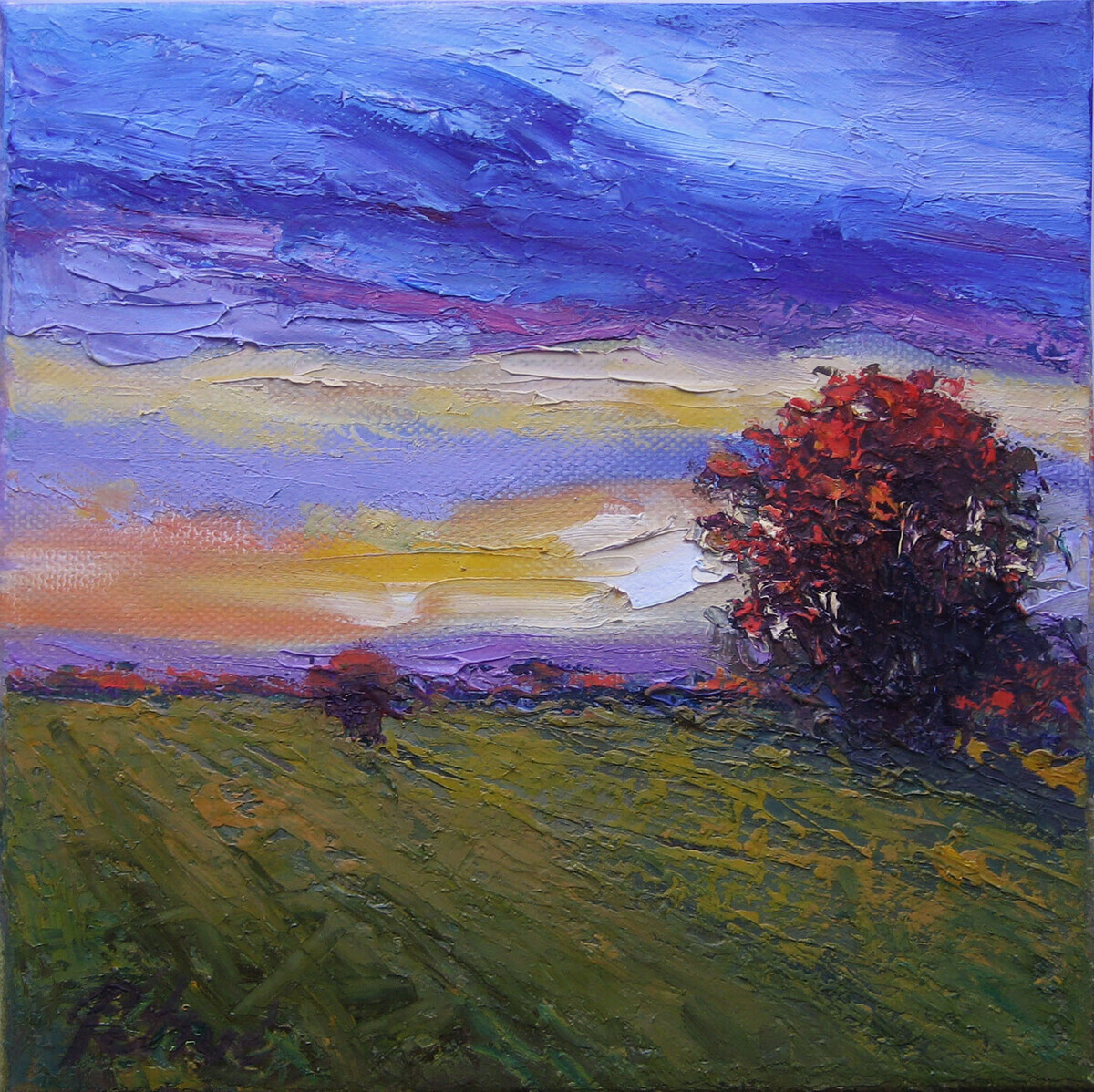 Sunset over the field