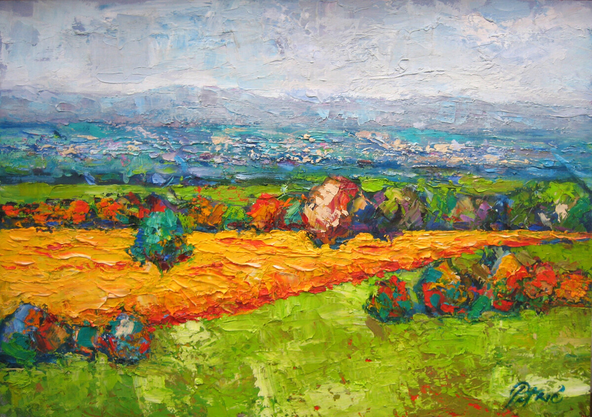 A view of the wheat field