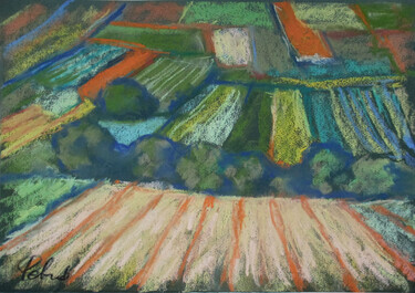 The fields by Petrić Gordan