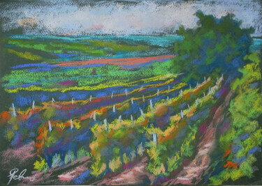 Vineyard by Petrić Gordan