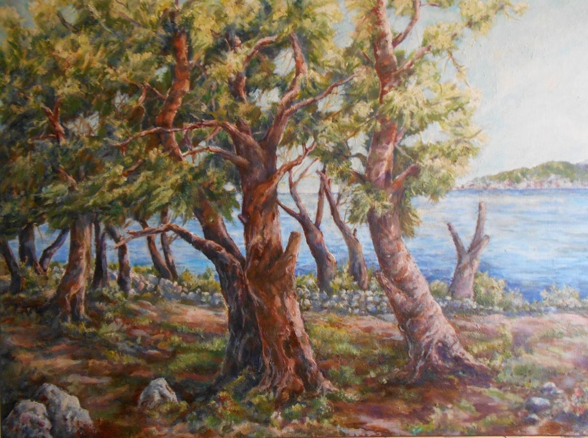 Conifer Forest