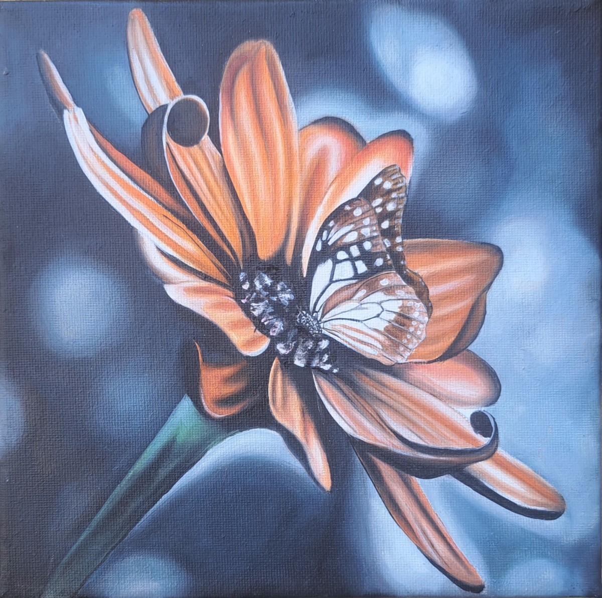 A touch of nature 1