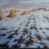Field in winter