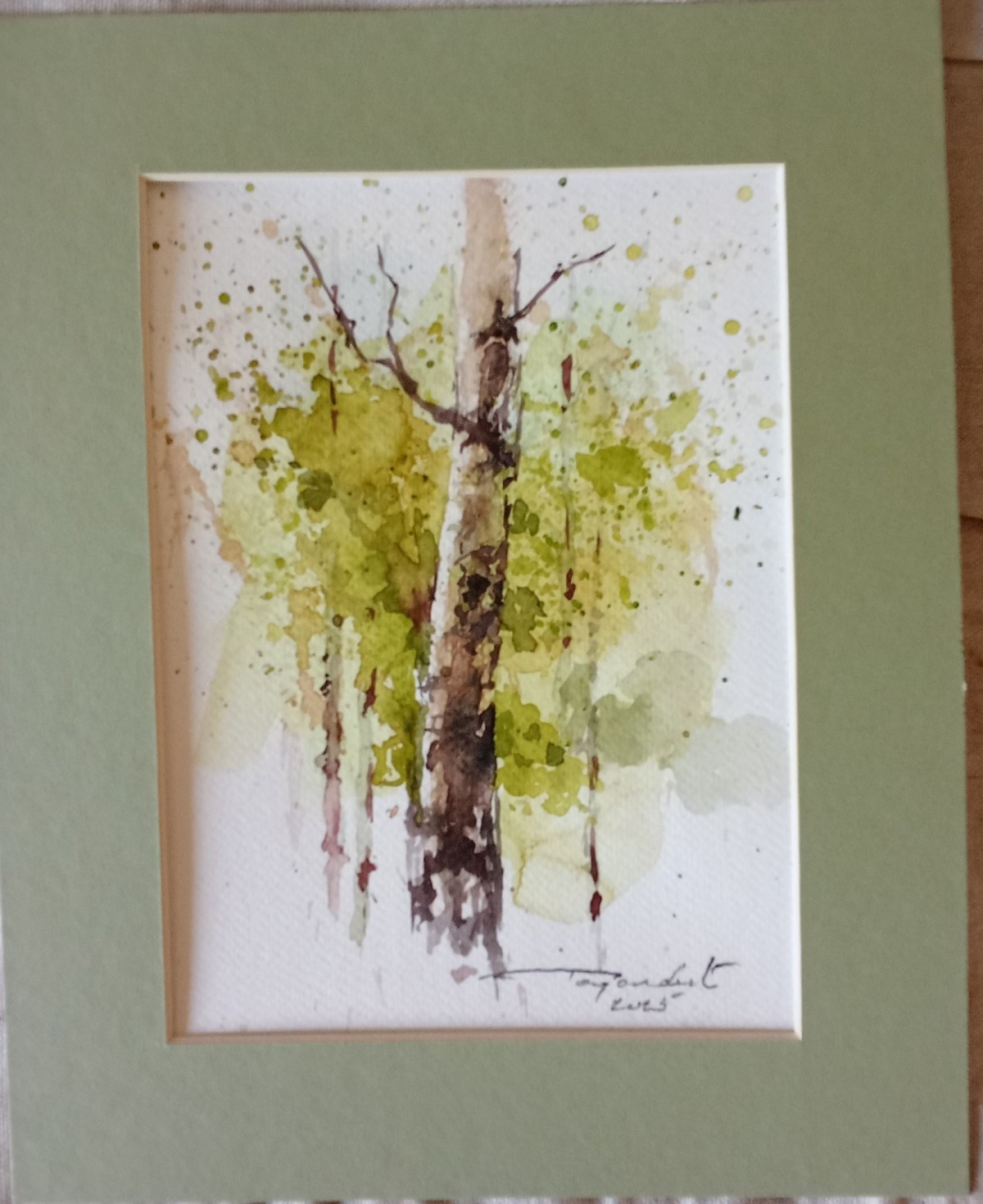 birch  2 aquarelle